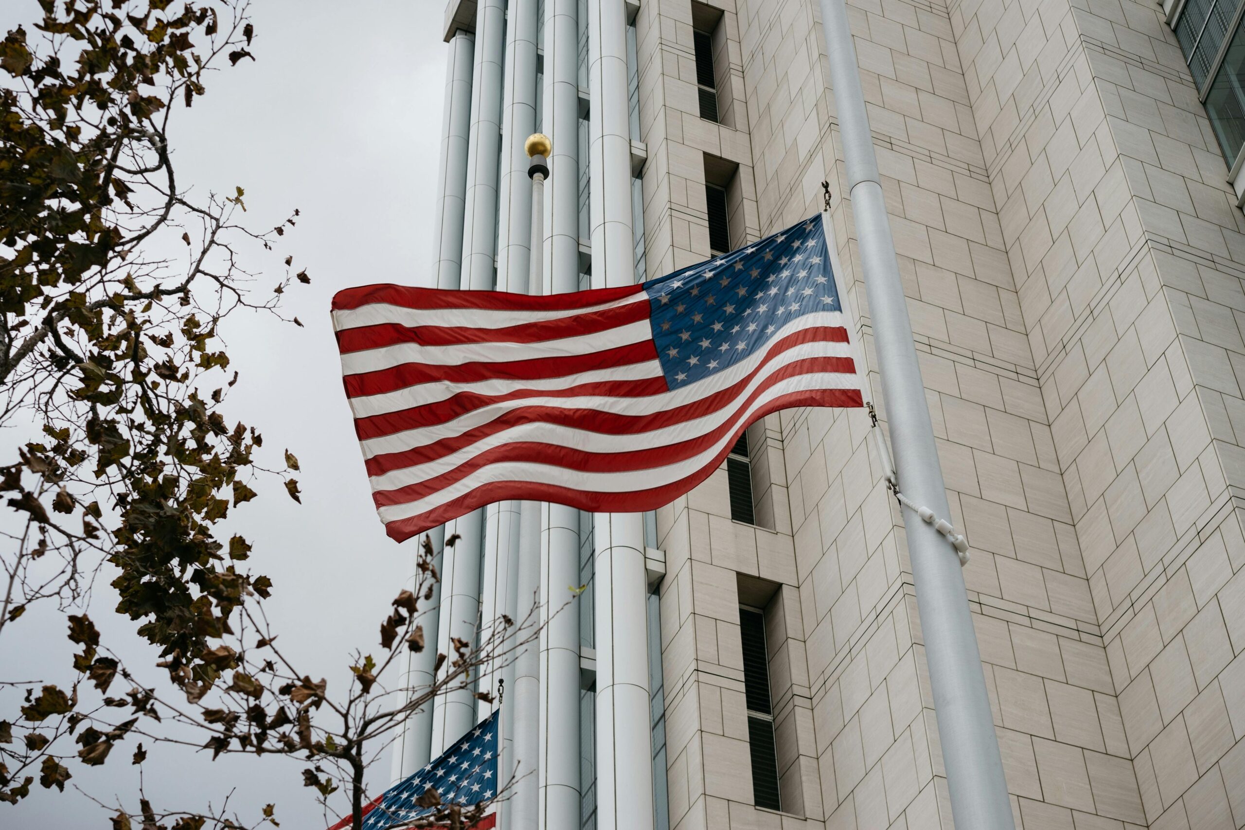 Usa flag