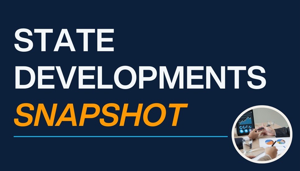 State Snapshot Image