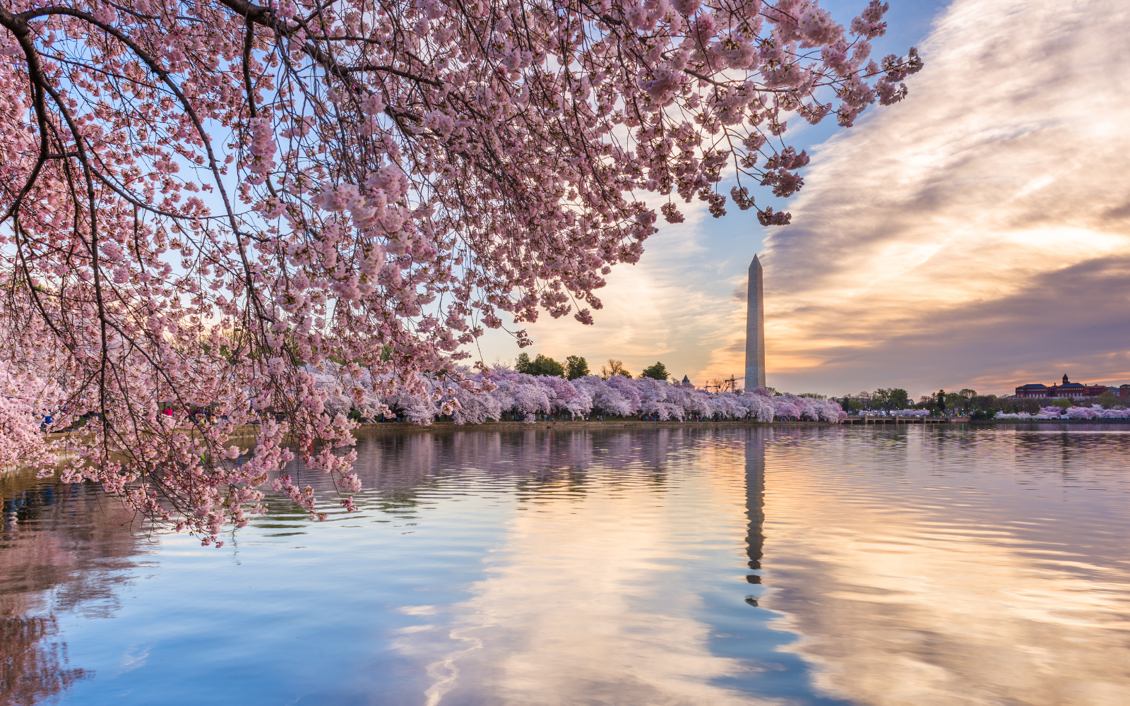 2027 UEDA Washington Convening